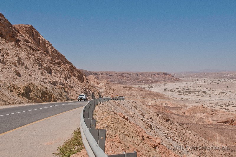 20100413_120425 D300.jpg - Negev Desert, Israel